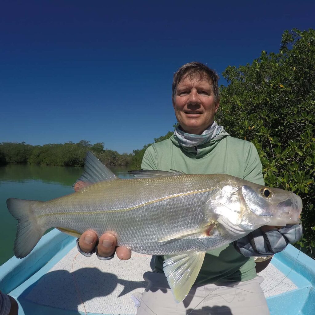 Snook Fly Fishing Tulum, Mexico